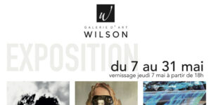 Exposition à la galerie Wilson à Blois en mai 2026