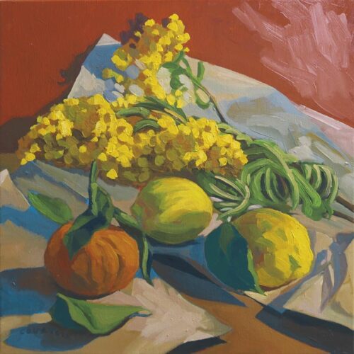 Mimosa et agrumes Mimosa et agrumes