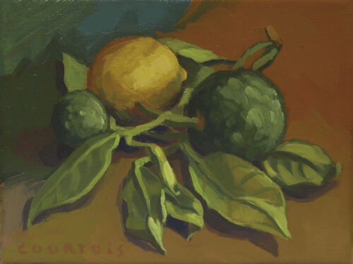 Citron jaune et 2 combavas Citron jaune et combavas