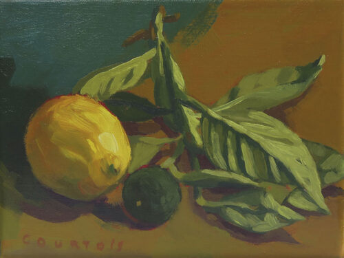 Citron jaune et petit combava Citron jaune et combava avec feuille